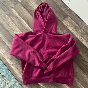 Aritzia Hoodie